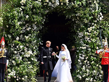 哈里王子与梅根·马克尔女士皇室婚礼